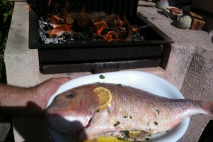 seafood