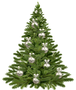 christmas-tree-1853582_1280