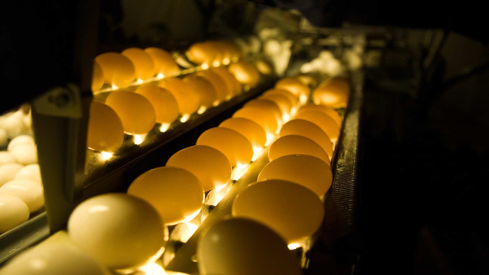Why candle eggs ?