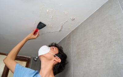 Comparaison des équipements de protection individuelle : Leroy Merlin vs Castorama